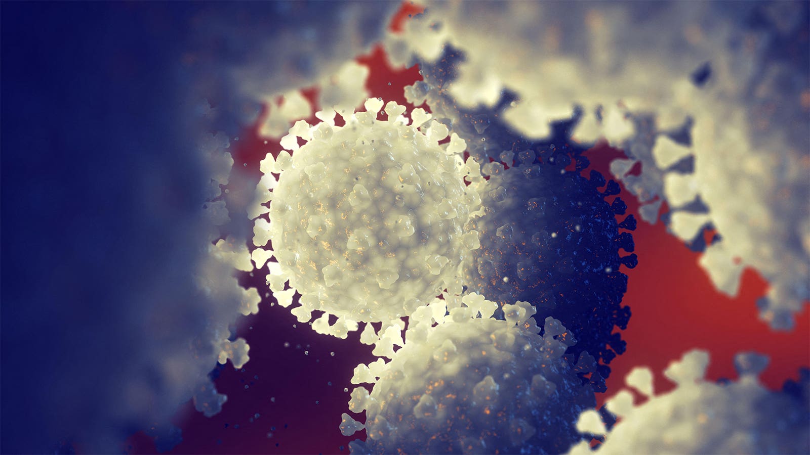 A Ring Strategy for Bird Flu 1 120739