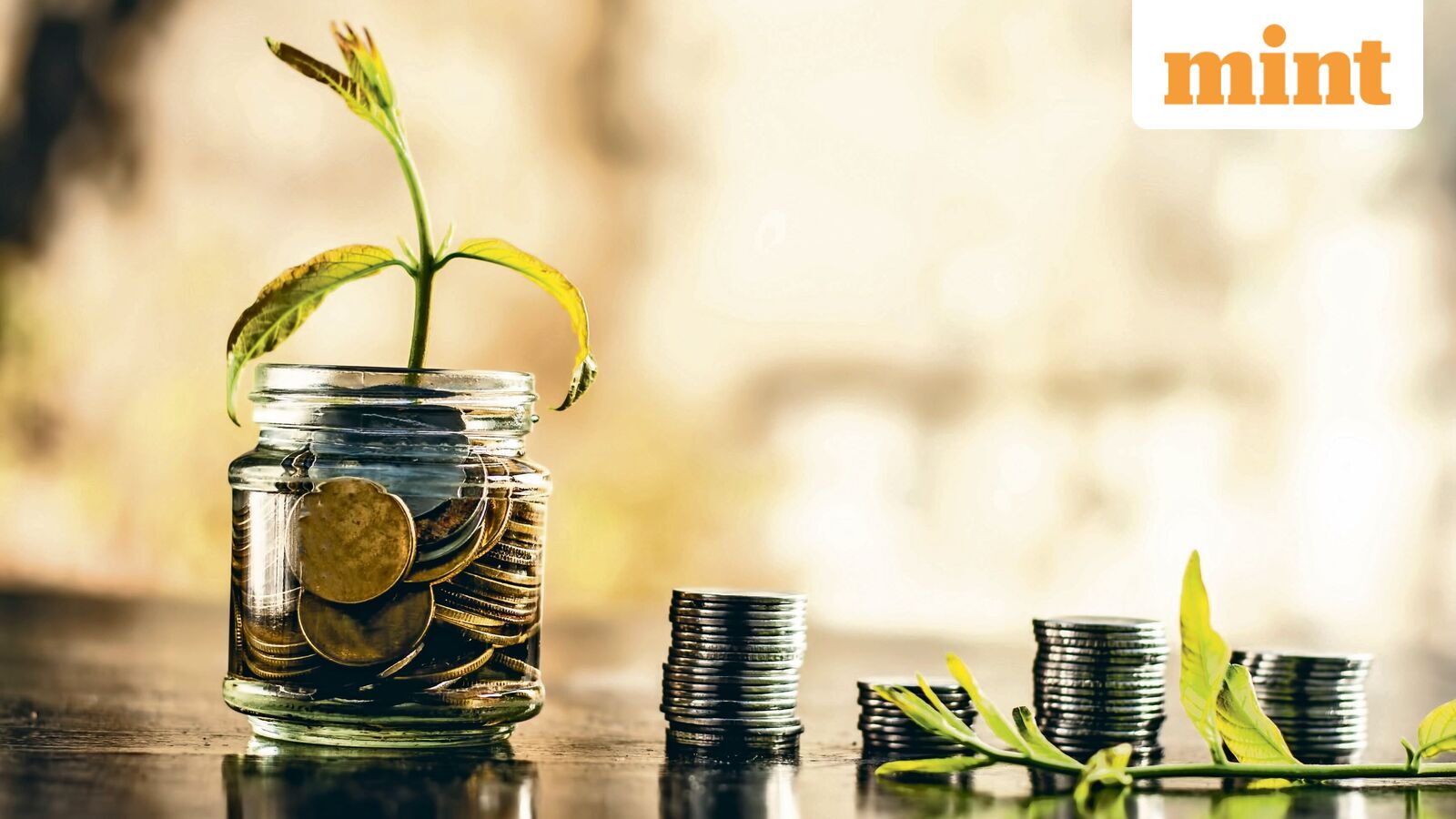 2 0 1475975919 iStock 986746224 0 1679855040571 1776861294116