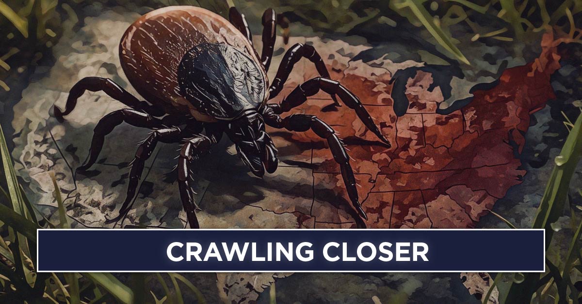 2026.04.03 08.52 cyphernews 69cf7fe4abc19