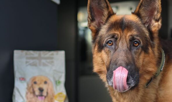 Natural-recipe dog food leaves bowls always licked clean 3 2039202 1