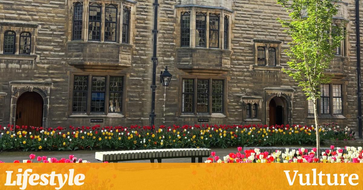 Which spring flower are you? 1 31496