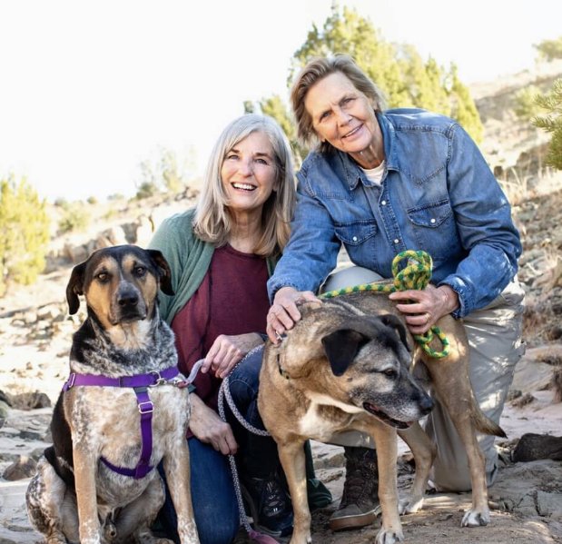 3Questions credit20shine.pet