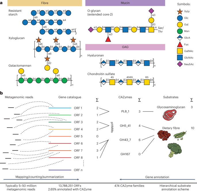 41564 2026 2318 Fig1 HTML