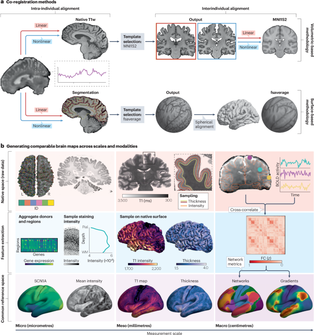 41583 2026 1038 Fig1 HTML