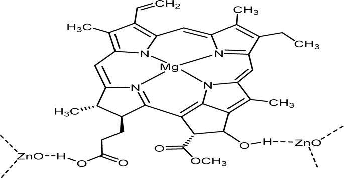 41598 2026 45022 Fig1 HTML