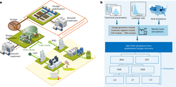 41893 2026 1818 Fig1 HTML