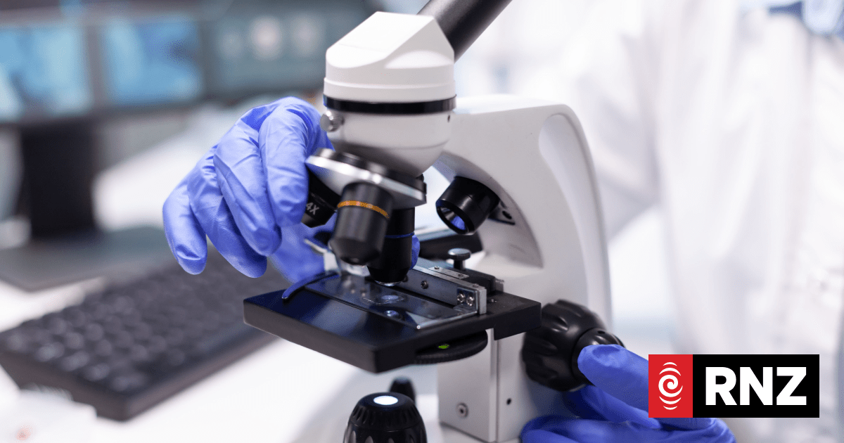 4JPV97O 176198388 l jpg