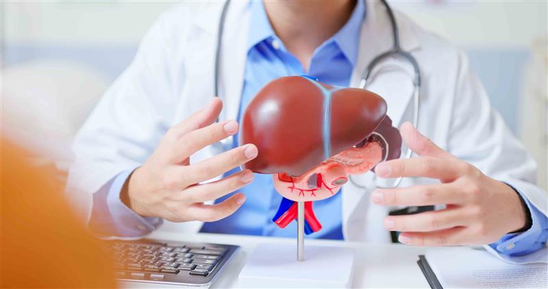 Century Health to create steatotic liver disease database - MobiHealthNews 3 Doctor20with20liver20model Mobi Getty PonyWang compressed2028129