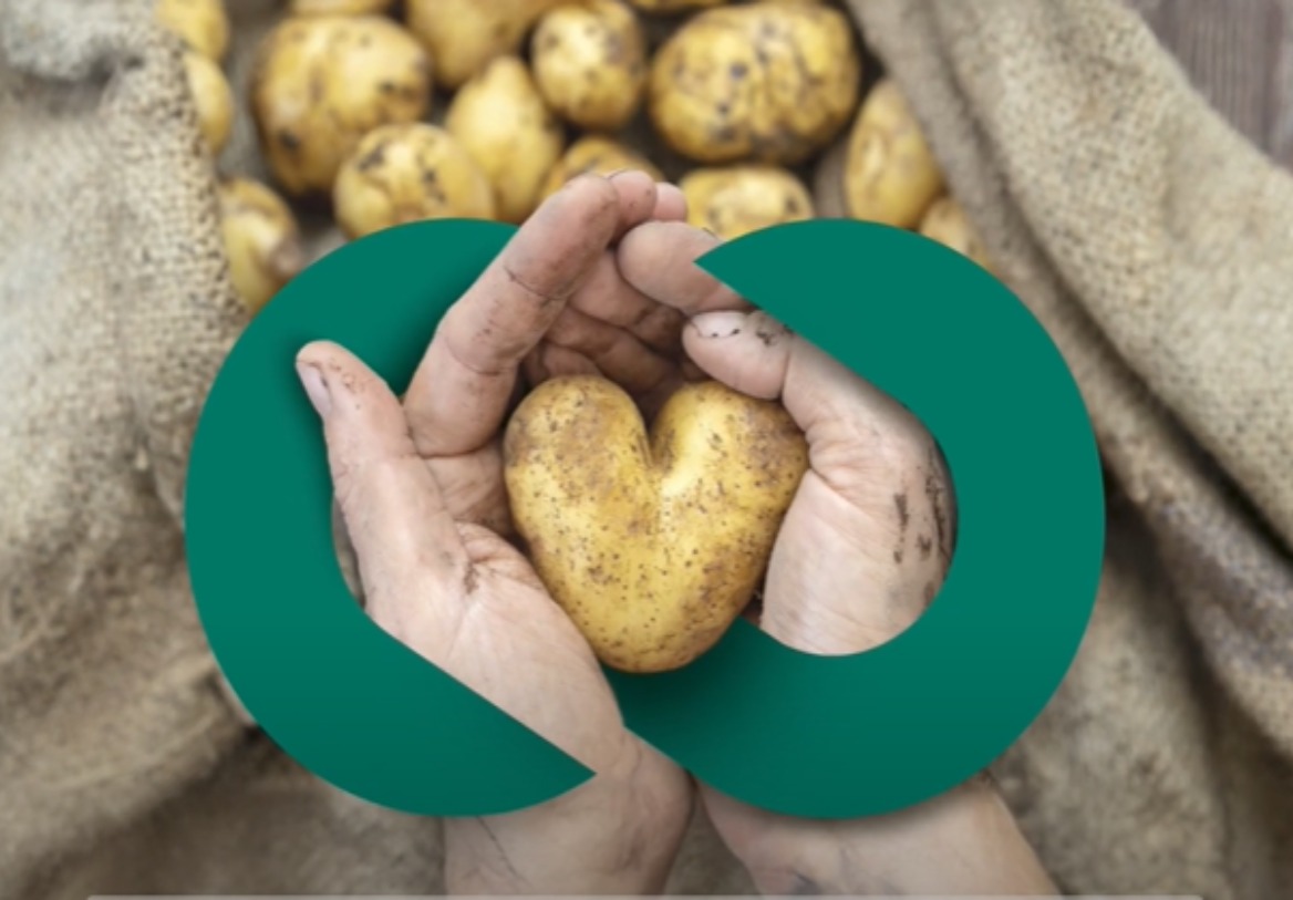 End Food Waste Australia