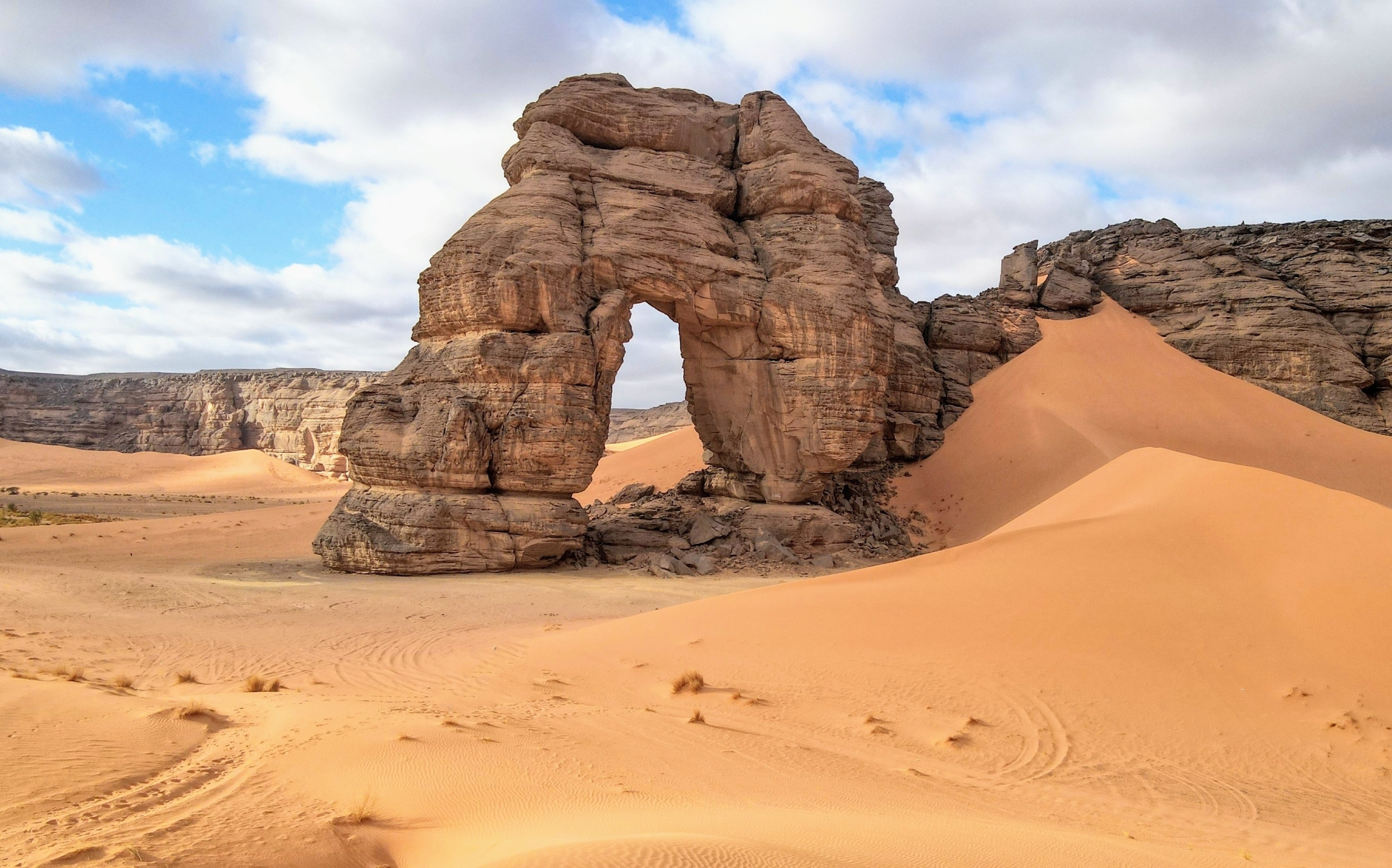 From deserts to rainforests, the same factor shapes food webs - earth.com 3 Food webs Africa