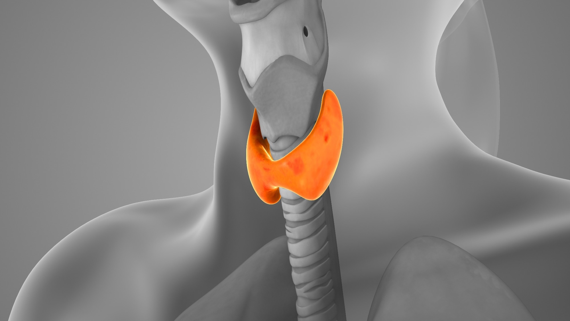 ImageForNews 834669 17756155031422839