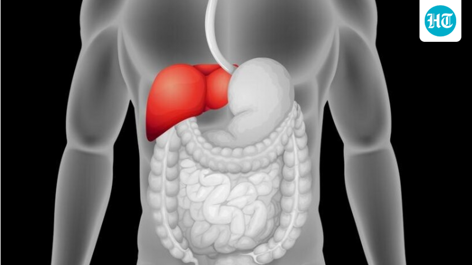 Screenshot 2026 04 06 162224 1775472793505 1775472801045