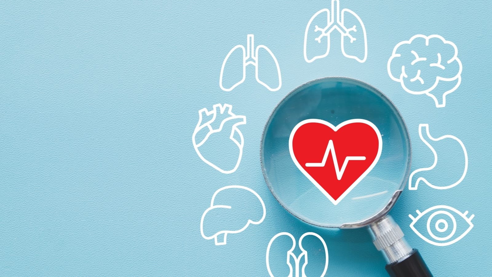 Shutterstock 2683304503