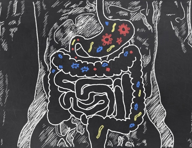 Early epigenetic changes shape infant gut microbiome development - News-Medical 1 TagImage 4166 452960421181018548294 620x480 1
