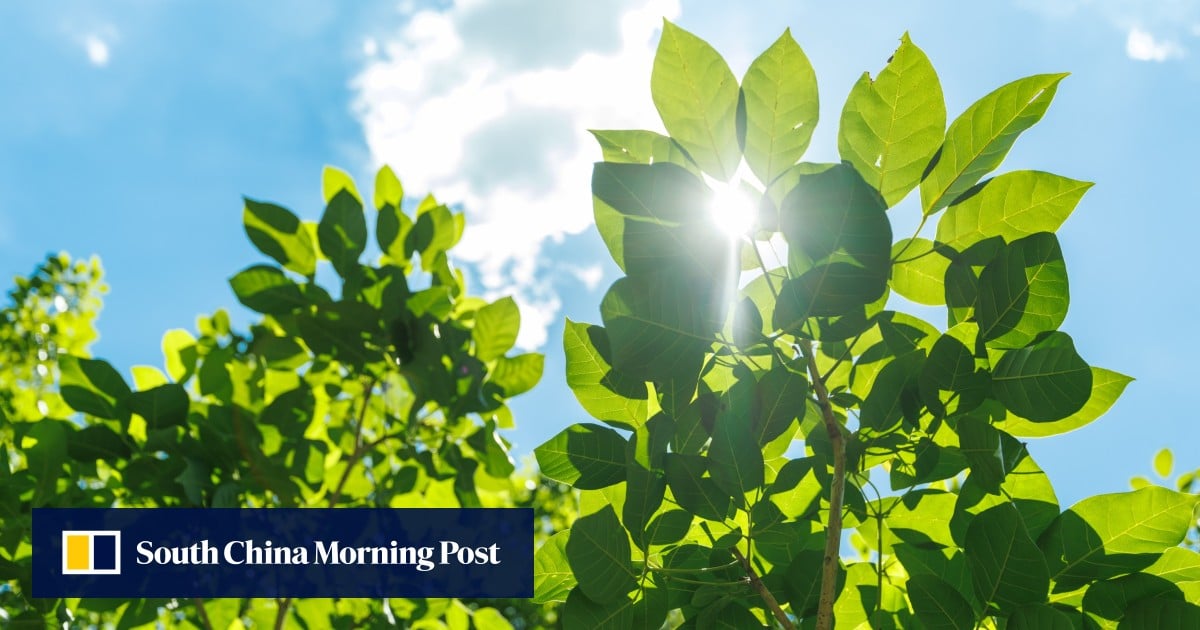 ba84bc74 eabd 4f7d ad2f 0538d2198867 3218e7ea