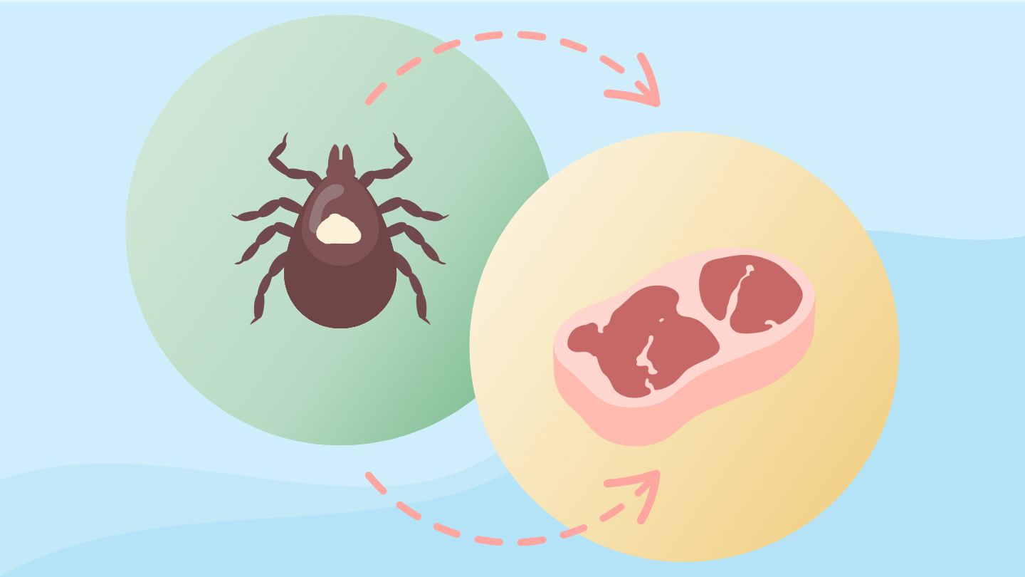 dangerous meat allergy more common alt 1440x810 1