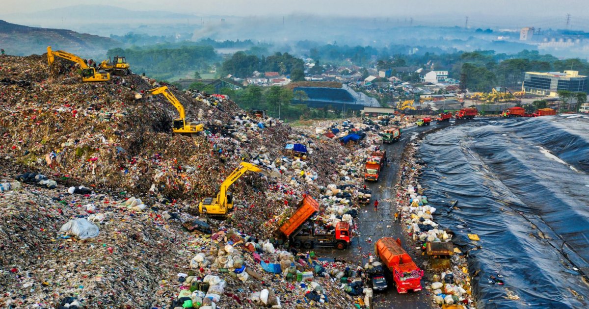 discarded food waste