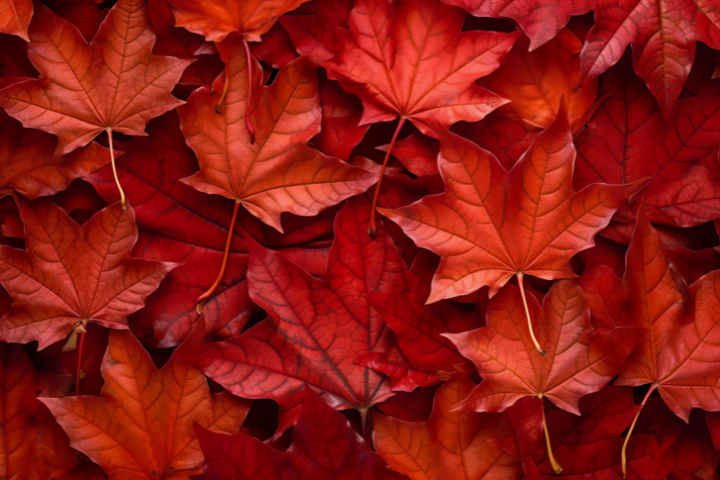 groupe berkem expands h2olixir range with