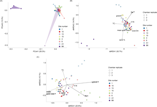 Benthic bacteria communities of coral reefs are shaped by sediment properties rather than coral trophic state 1 image 10