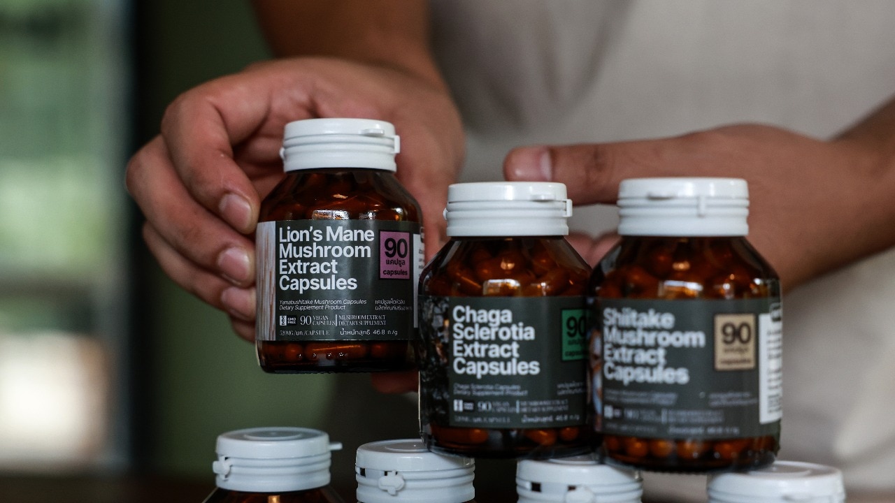 Decoding the mushroom supplement wellness trend 1 mushroom supplements 102503726