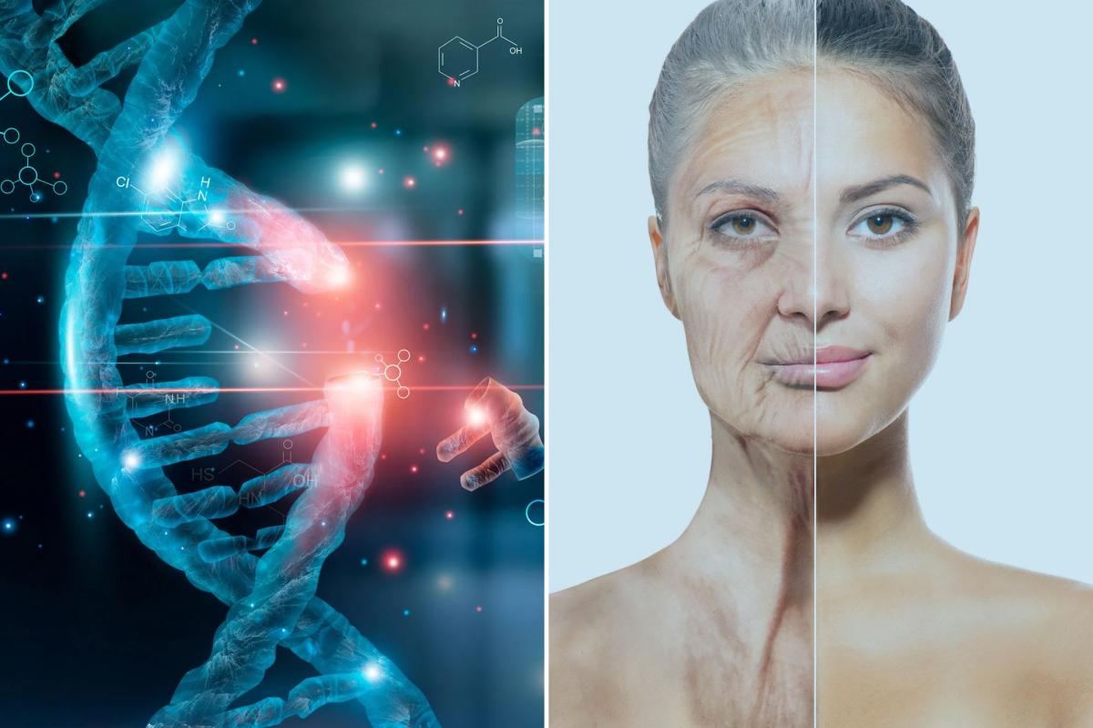 newspress collage s1wuptd64 1776370403099