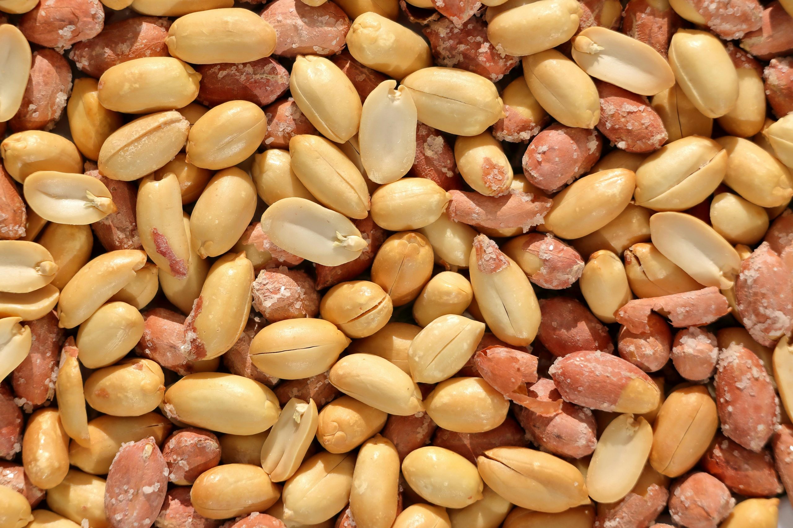 A shift in peanut allergy management - Baylor College of Medicine Blog Network - 1 peanuts scaled 1