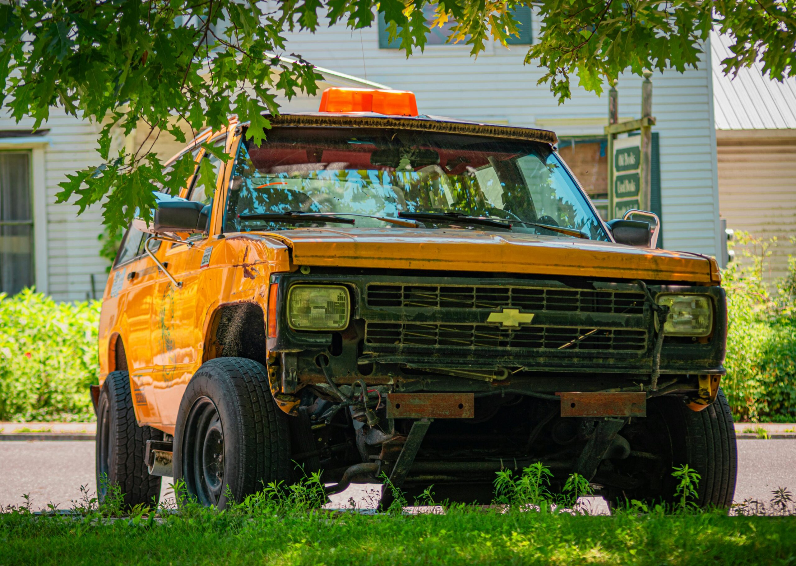 pexels photo 26997483 scaled 1