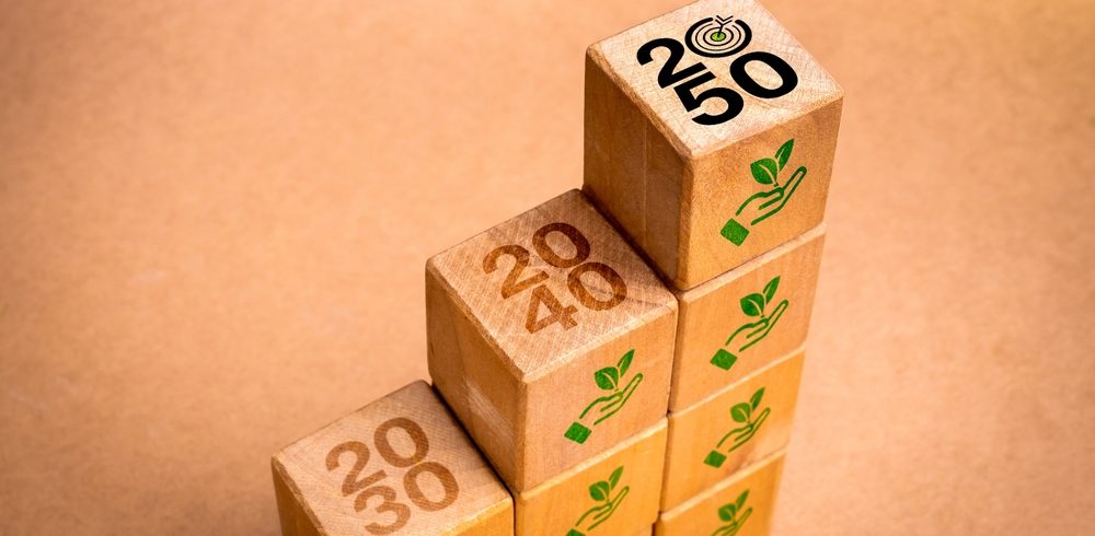 shutterstock 2449532459 e1728393386772