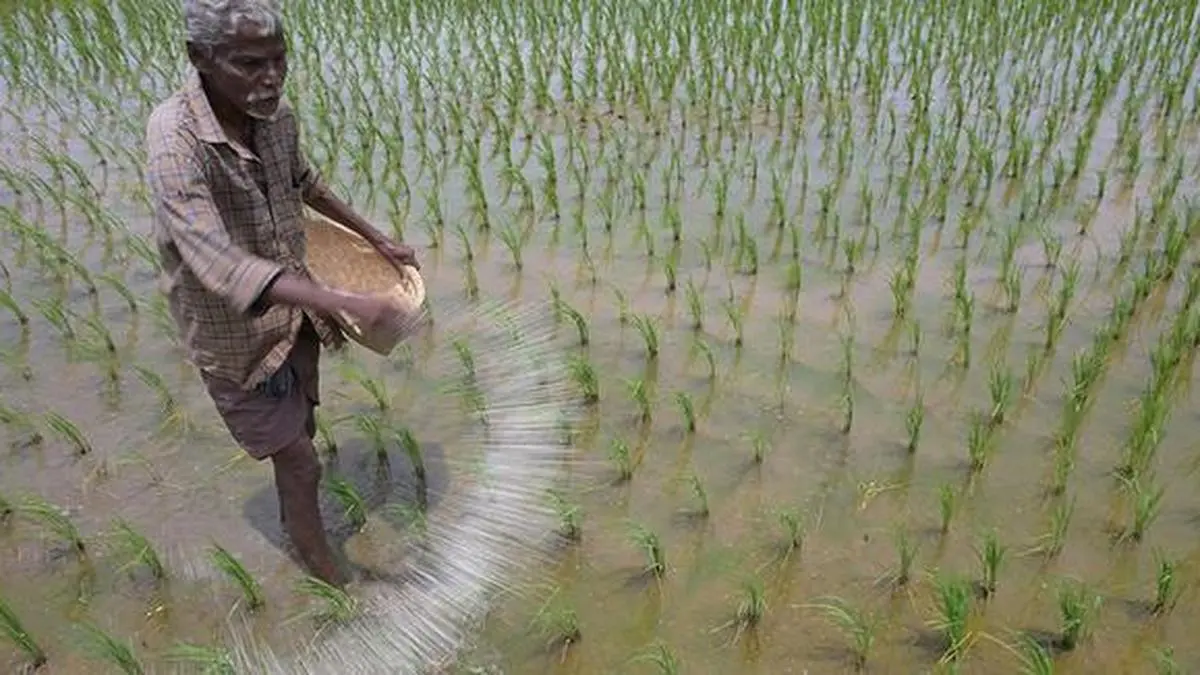 Beyond the monsoon: Rethinking insurance for Indias new-age farmers 1 04thBLUrea DAPGL7FLV115.3.jpg