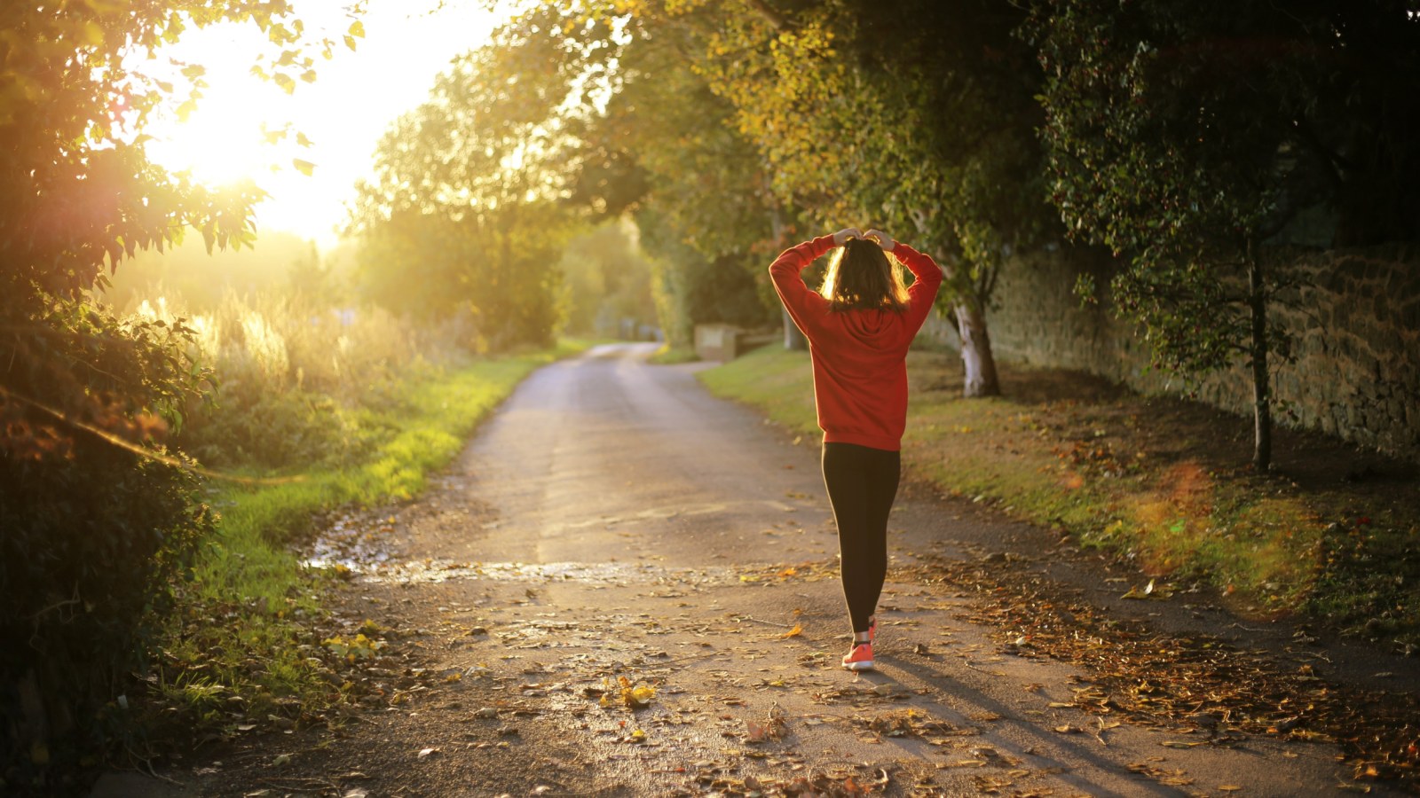 10 easy exercises that slash dementia risk simple daily moves