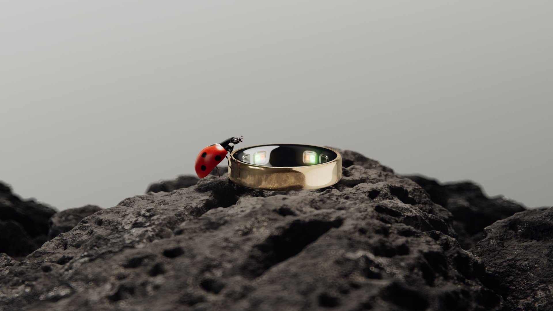 108312779 1779911683919 Oura Ring 5 Nature Ladybug