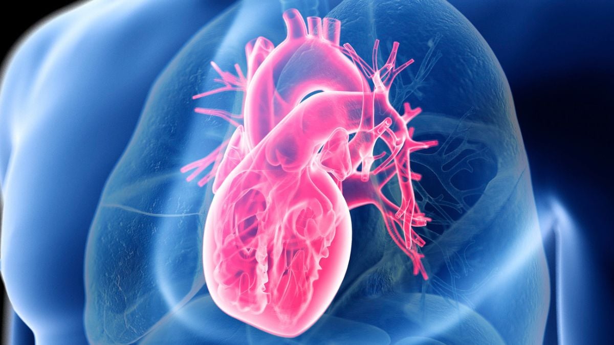 Giant Study Reveals The Secret to Heart Health Isnt Low-Carb or Low-Fat 3 HeartHealth