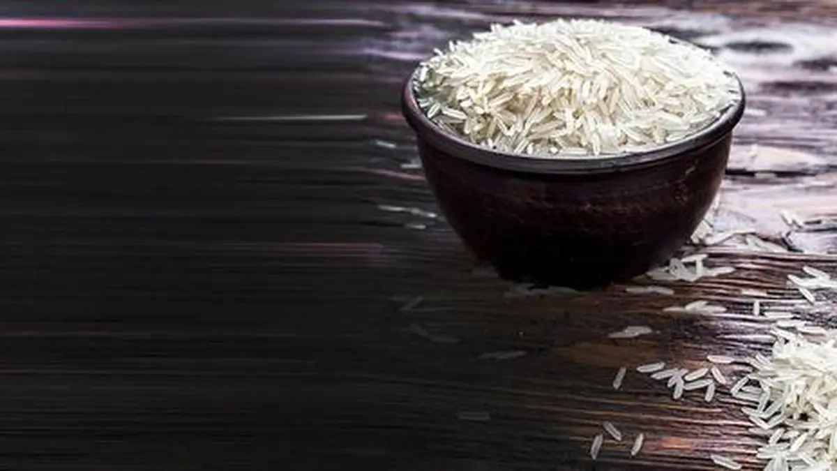Securing food, saving the environment: Rethinking Indias rice cultivation 5 bl21 think2 maiGCUG0NBVU.4.jpg