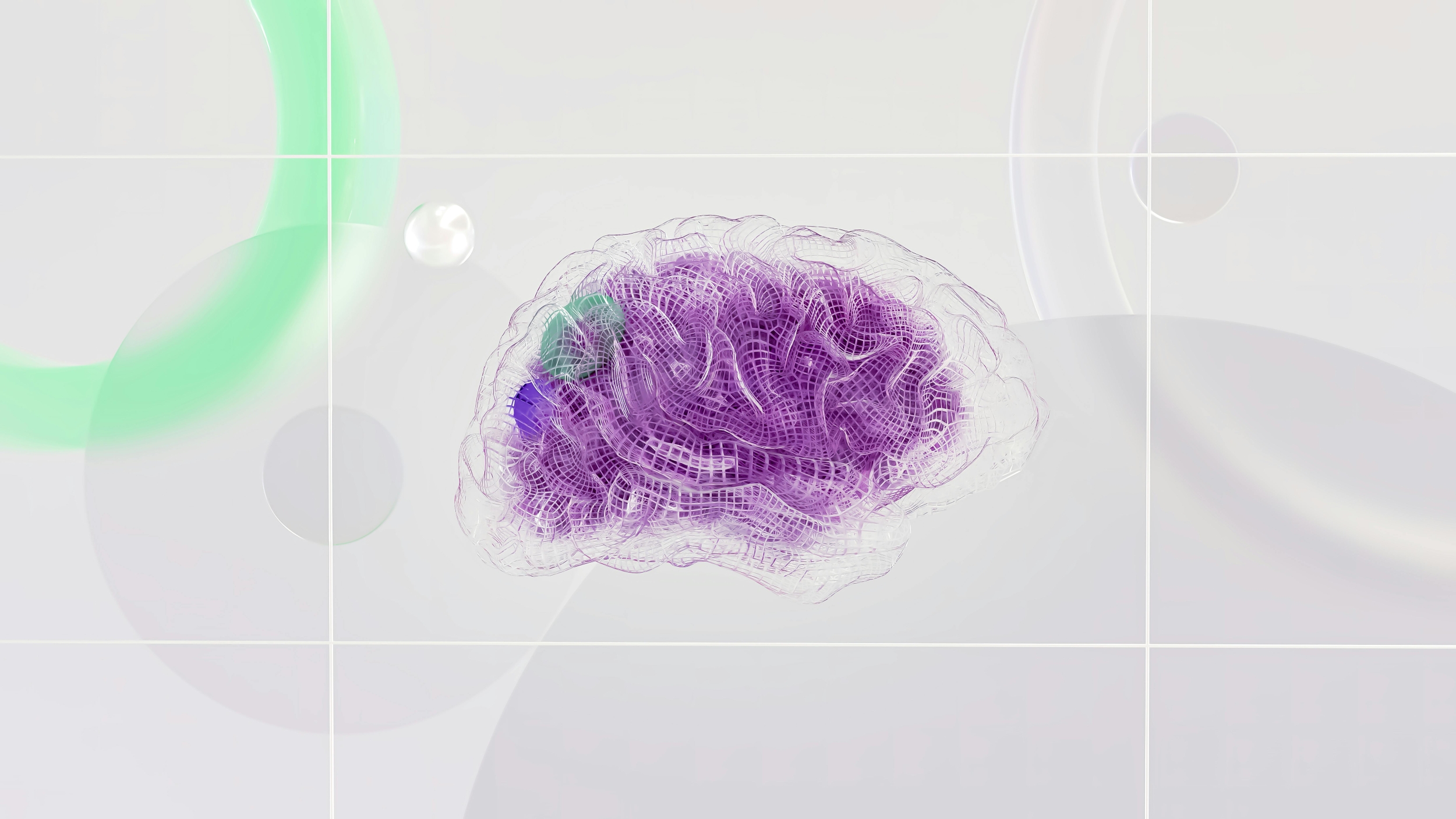 brain