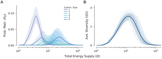 Energetic constraints shape the diversity of feasible ecological networks 1 image 10