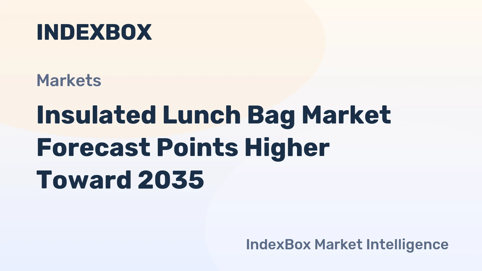 world kw insulated lunch bag 840 market analysis forecast size trends and insights 1779805916