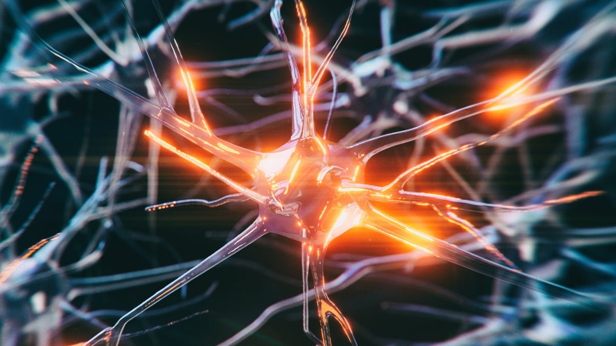 3d rendered image of glowing neuron cell network on black background