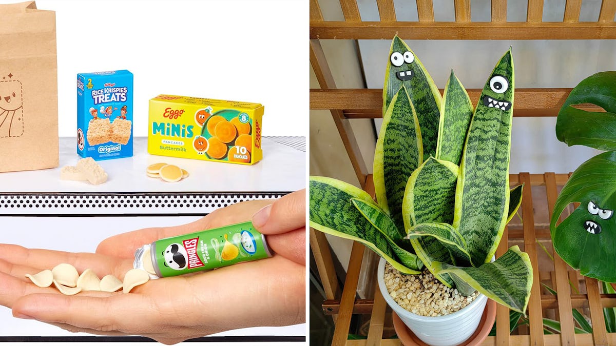 65 Ridiculous Things Getting Most Added To Amazon Wishlists Now 1 65 ridiculous things getting
