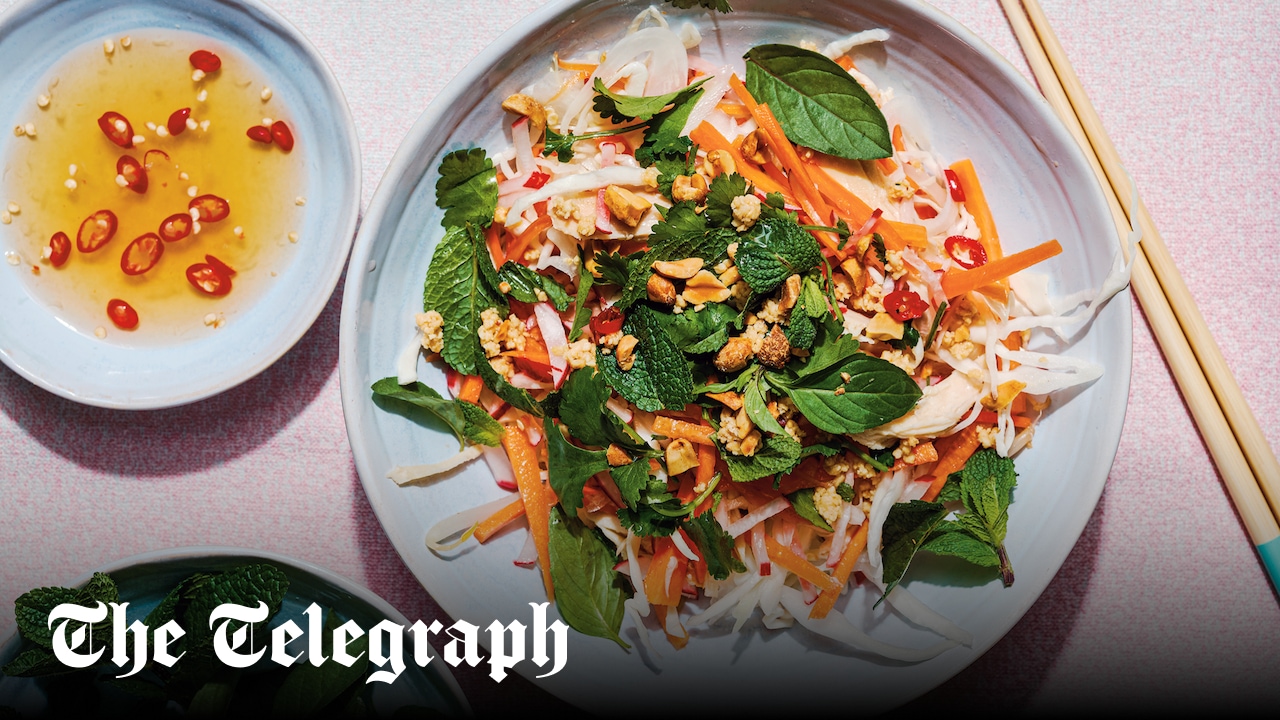 HH Stella Mothers day Vietnamese Chicken Cabbage and Carrot Salad 001 trans NvBQzQNjv4BqiRN6Mu3yrcsIjf4WNWmPzHN8GouhTxys5El qRTVQ4k