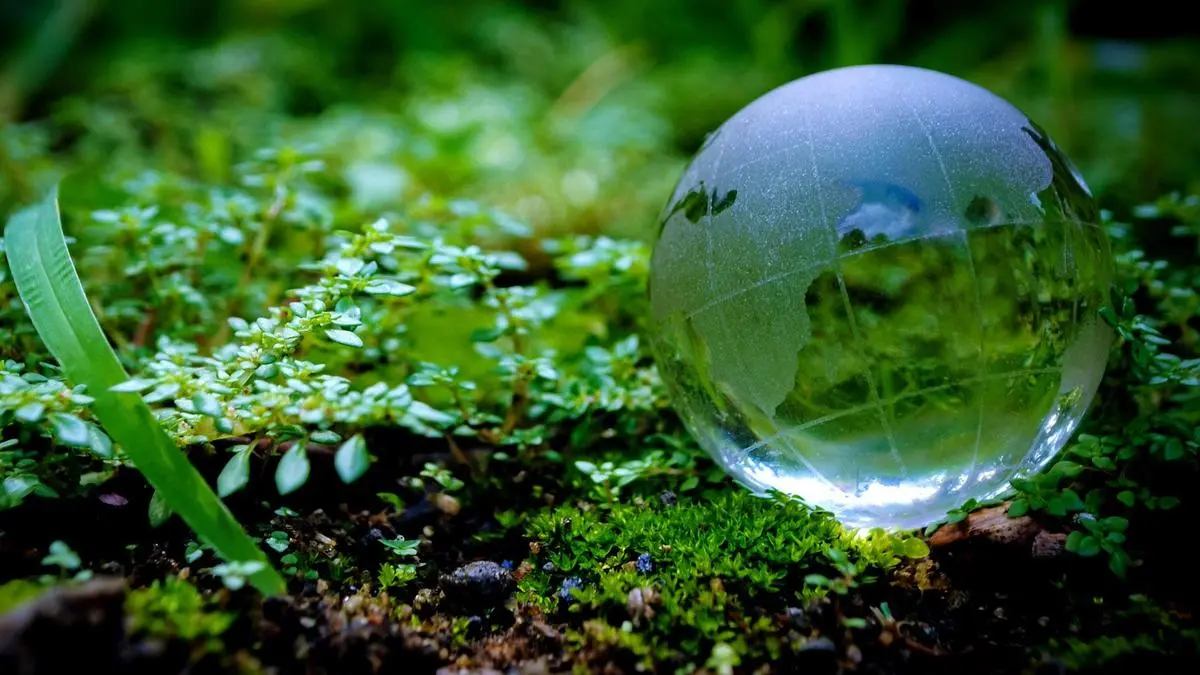 India eyes global bio-energy leadership with unified push on capital, missions and SAF exports 3 IMG iStock 1431033180 2 1 P9BM5JQS