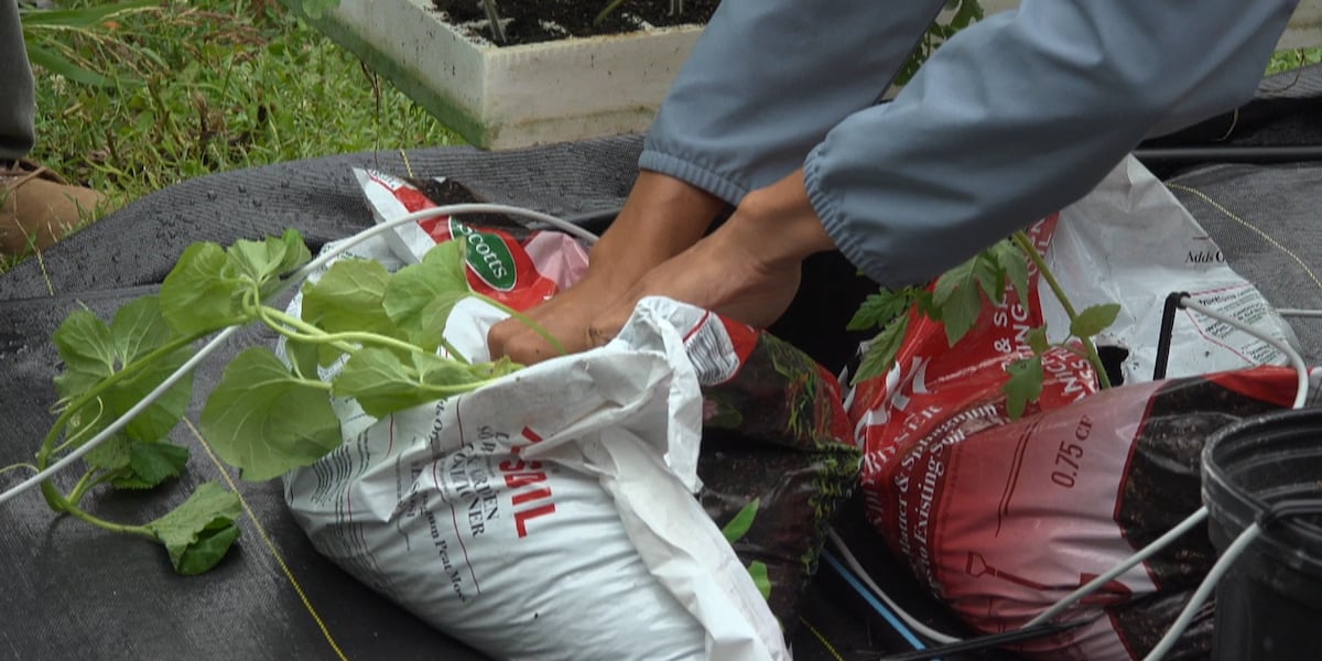 Pilot project aims to bring fresh produce to Louisville food deserts - WAVE News 2 RQ5UPWD4CNHBPL6DA7E2PAMVSA