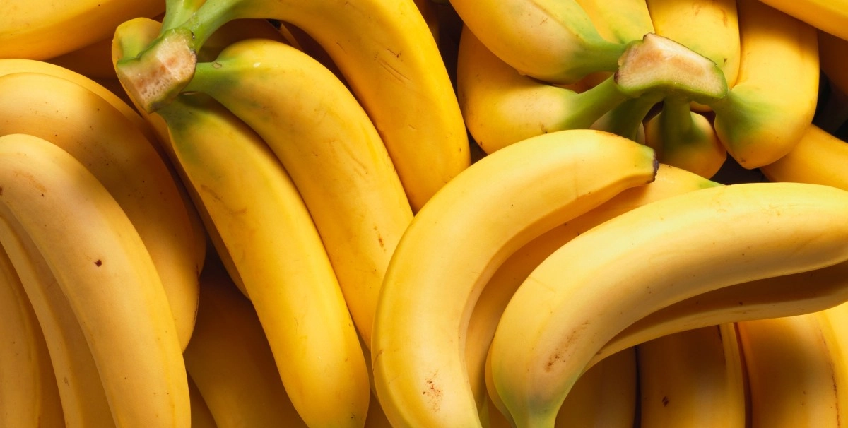 The banana, cambur or plantain: a wonderful source of energy, but not recommended for everyone 1 The banana cambur or plantain a wonderful source of energy but not recommended for everyone news image 51912