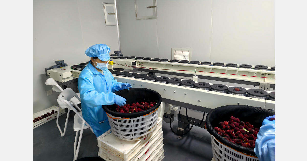 bayberry1