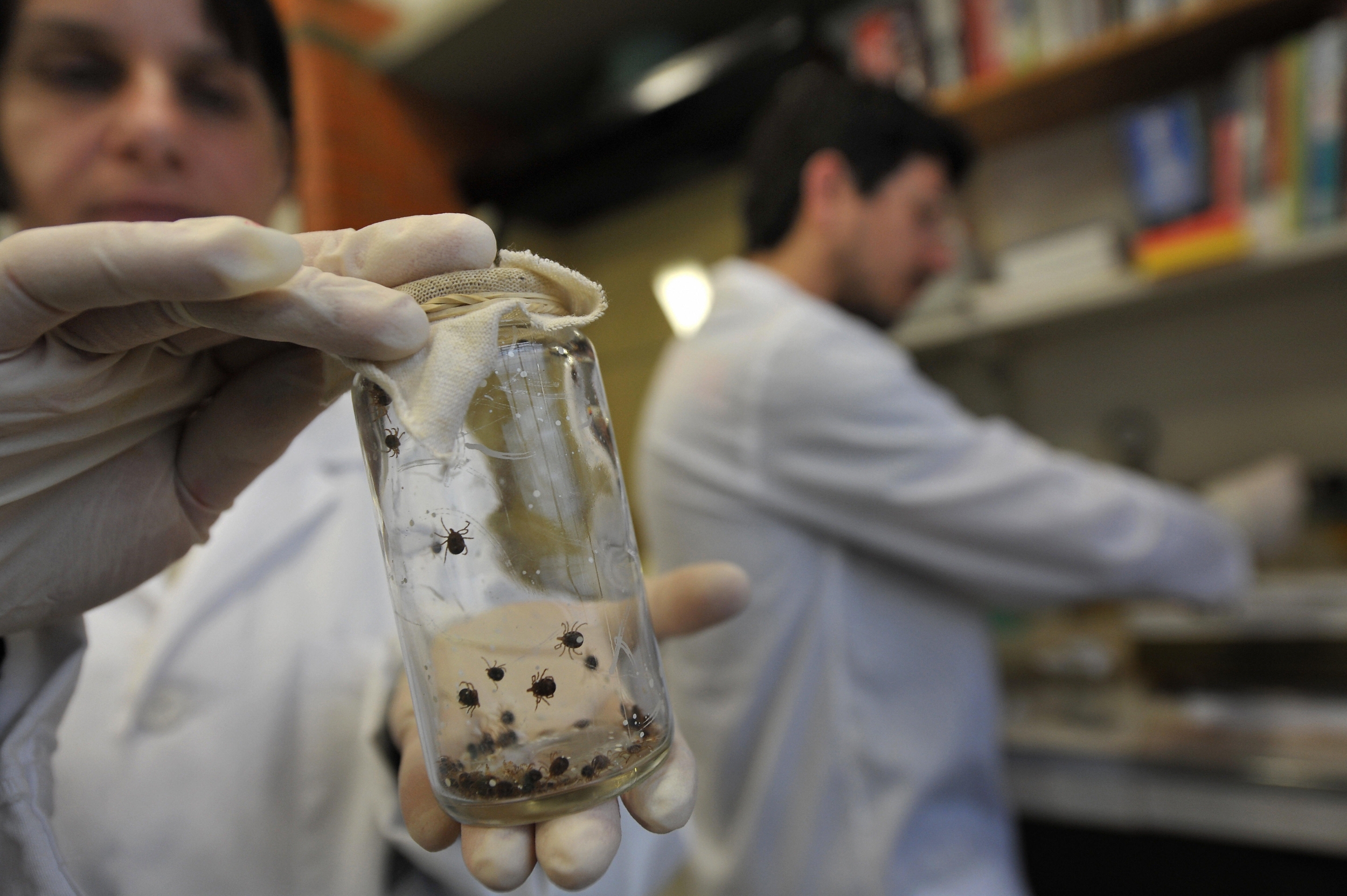 chagas disease