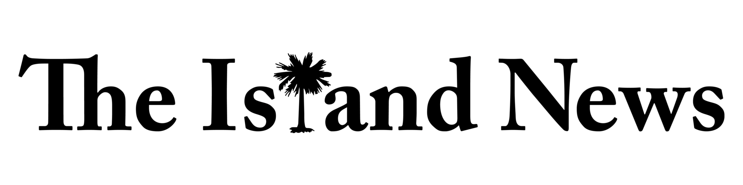 cropped TIN Logo Edited scaled 2