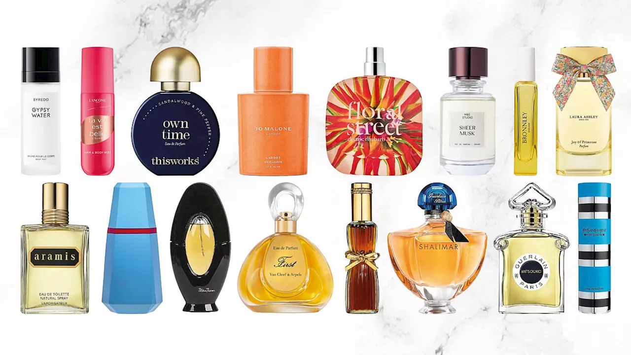 designer body mists veggie scents and nostalgic designer body mists veggie scents and nostalgic 42C48AAD6F4F701060B6A1ED28DB0C4B
