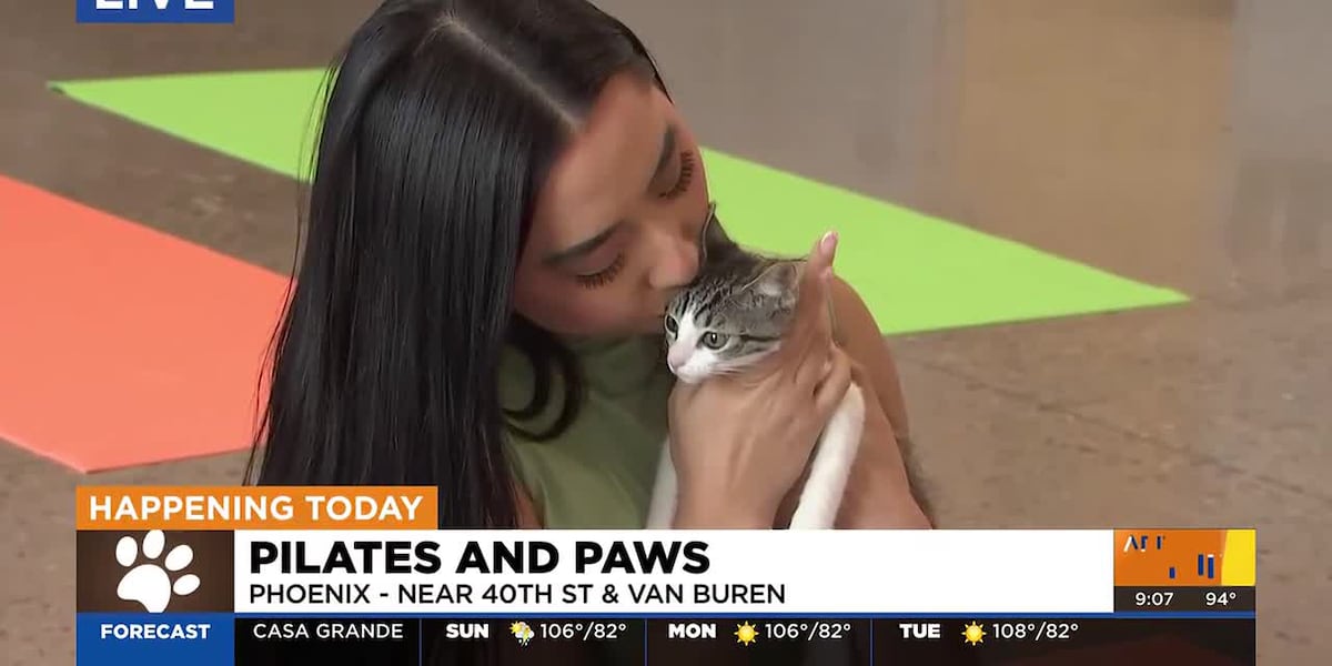 Pilates and Paws event raises money for Heidis Village rescue - AZ Family 1 https3A2F2Fdo0bihdskp9dy.cloudfront.net2F06 14