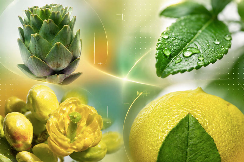 shifting paradigms in metabolic health preparing 4