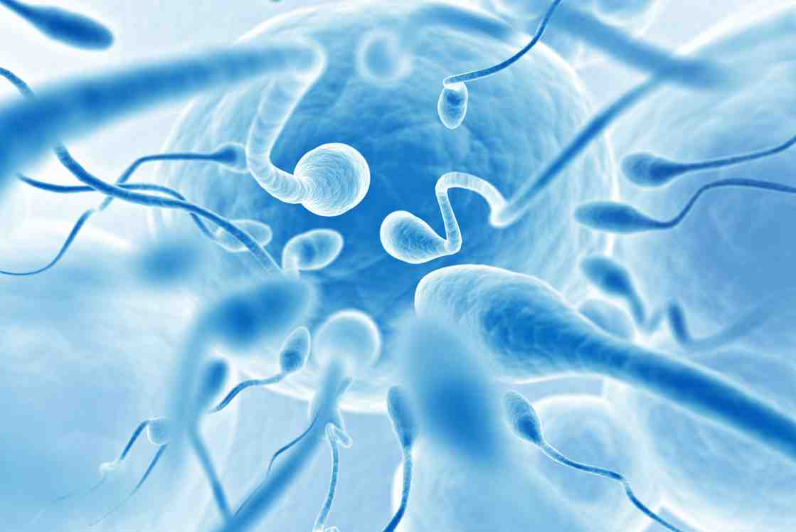the importance of male fertility fertility academy compressed