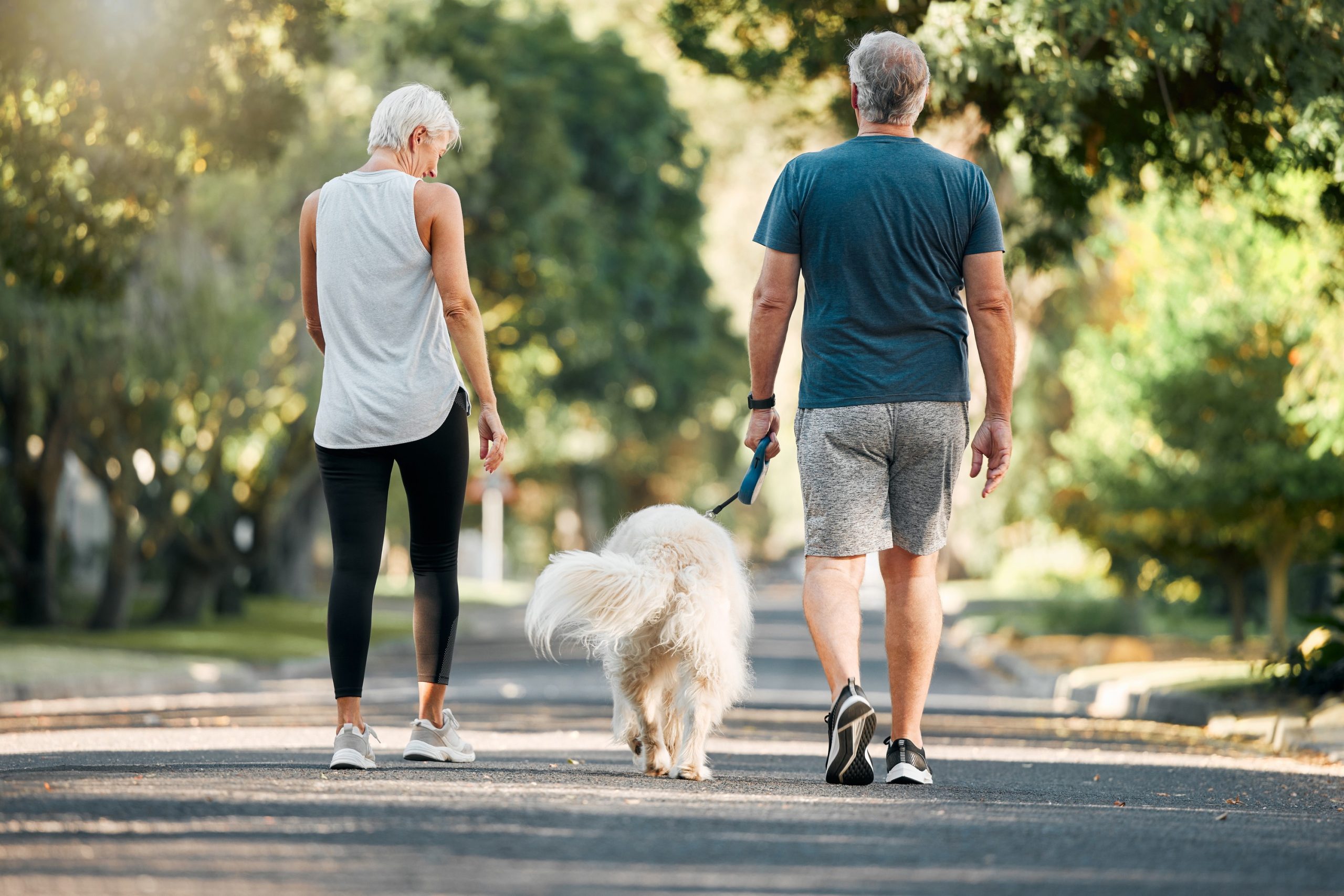 Fitness: Beyond exercise, move more and live longer 1 walking the dog scaled